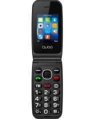 AIWA FPH-S100 2G 1.8"