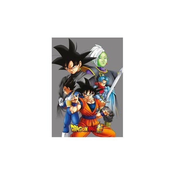 Manta Polar Dragon Ball Super Goku 100x140cm