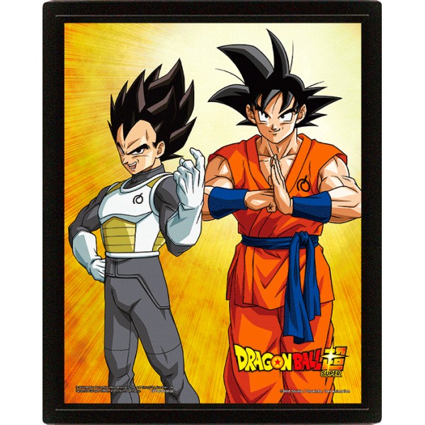 Póster 3D Goku y Vegeta