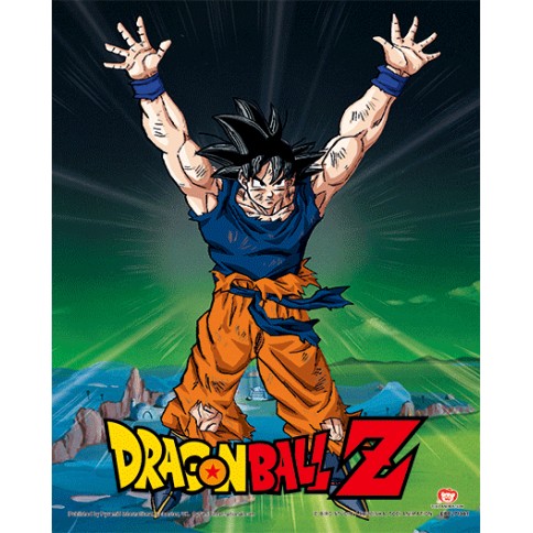 Póster 3D Dragon Ball Power Levels