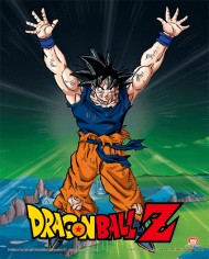 Póster 3D Goku y Vegeta